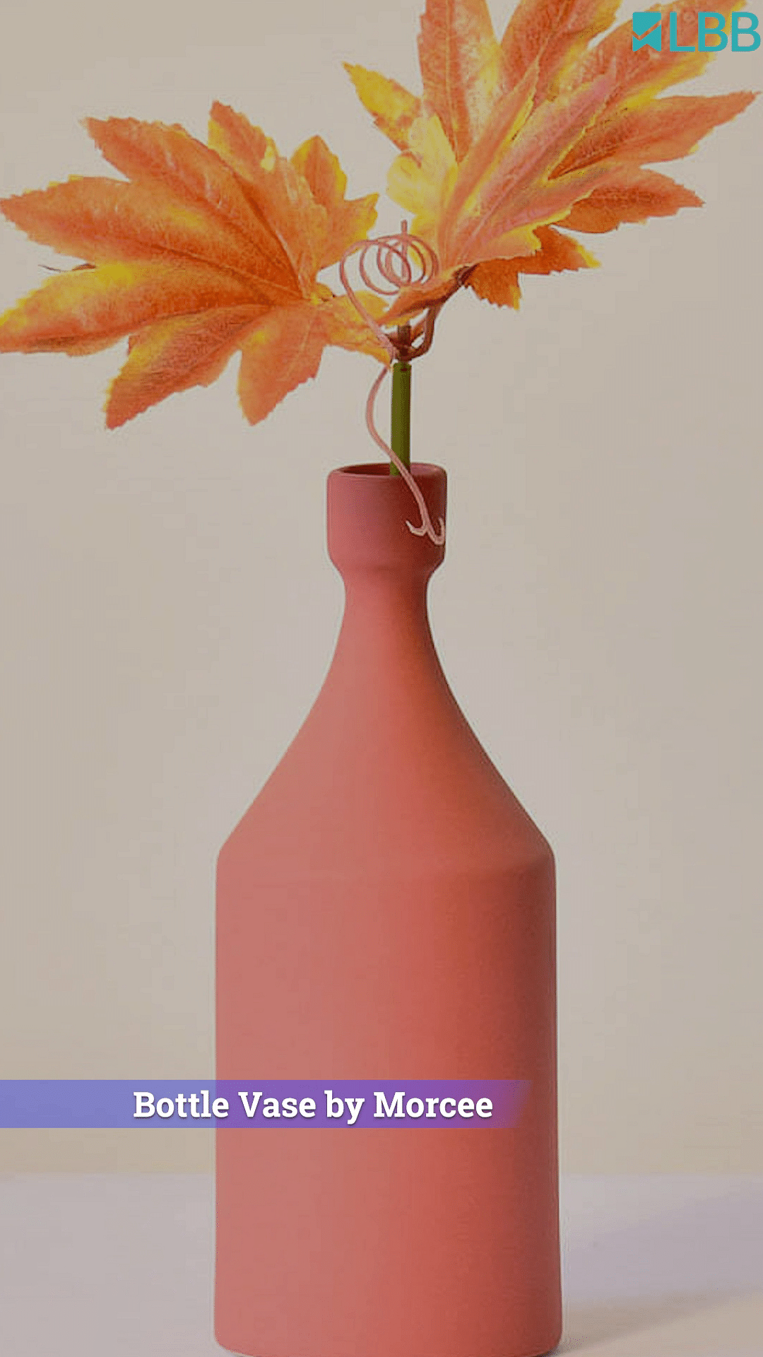 Plant,Flower,Liquid,Vase,Bottle,Orange,Petal,Fluid,Twig,Tree