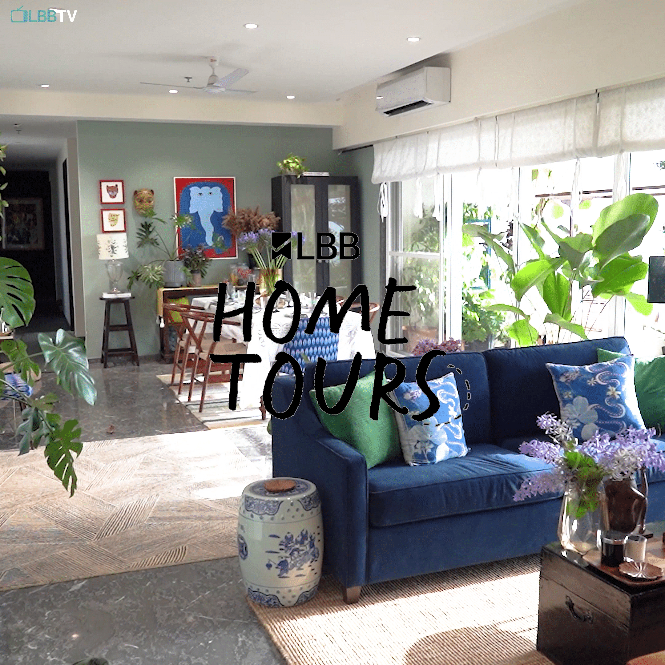 Plant,Property,Furniture,Couch,Building,Houseplant,Table,Azure,Flowerpot,Interior design