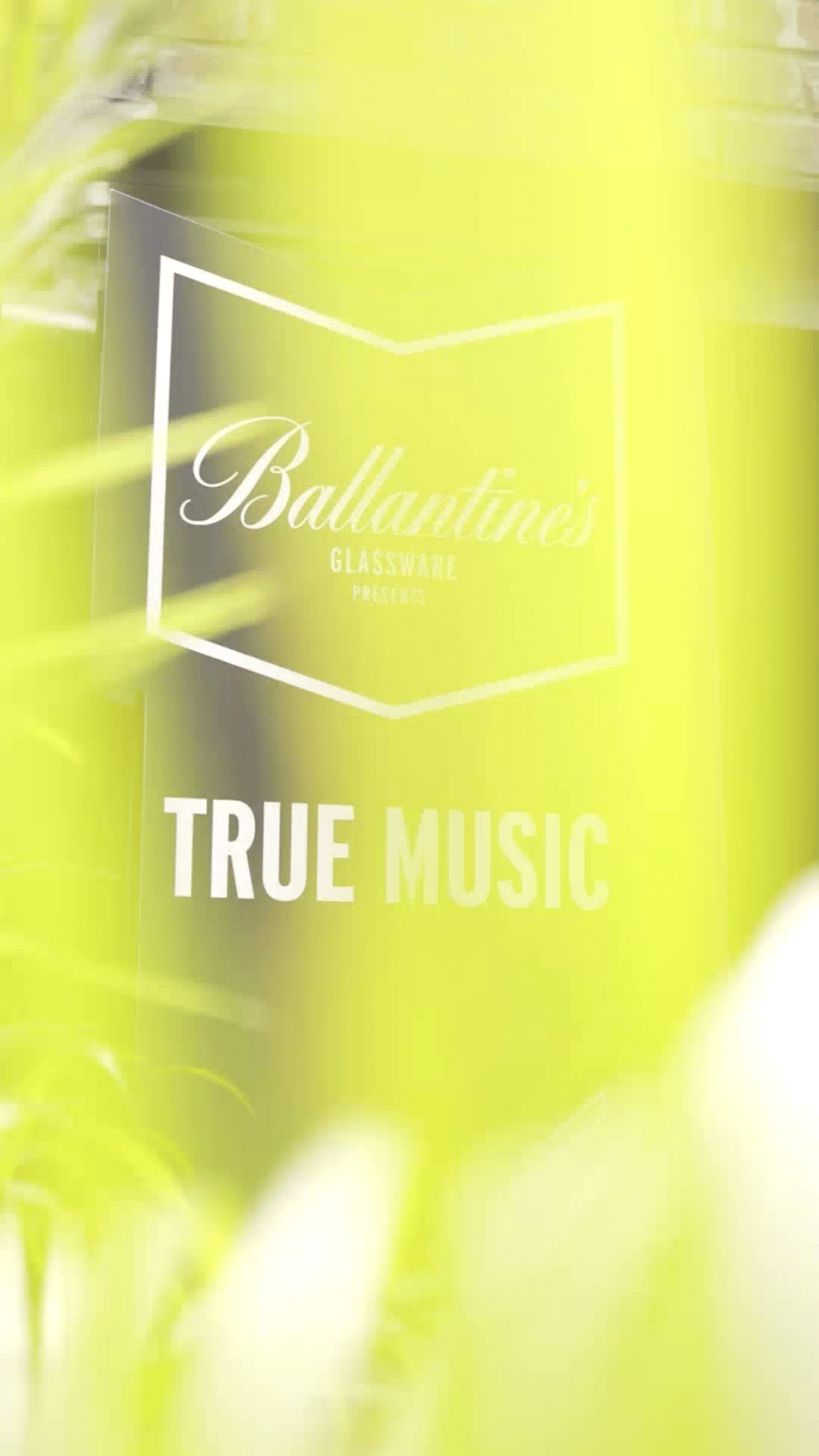 Font,Petal,Terrestrial plant,Logo,Peach,Event,Brand,Graphics,Pattern,Drink