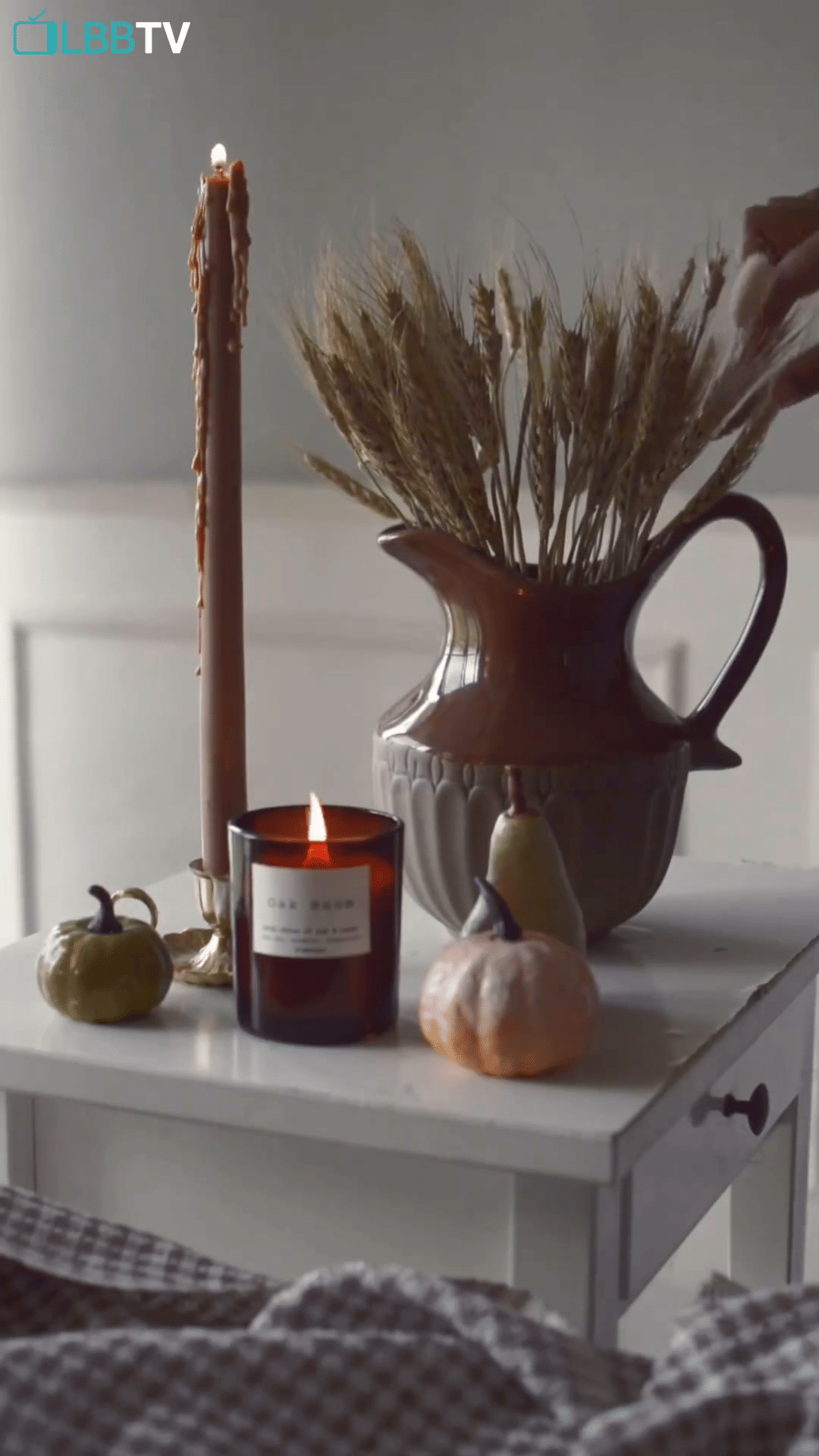 Table,Wood,Branch,Natural material,Lighting,Interior design,Twig,Serveware,Tableware,Hardwood