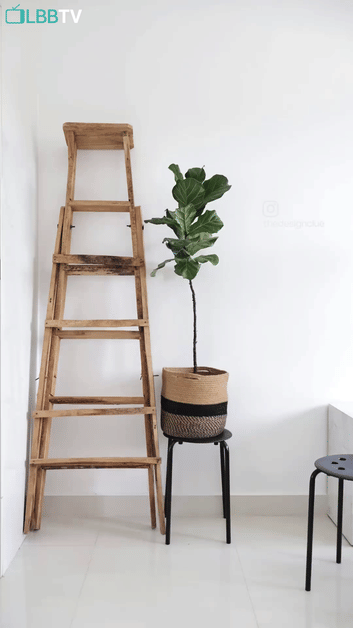 Inspiration For You To Create A Plants Corner In Your Home | LBB