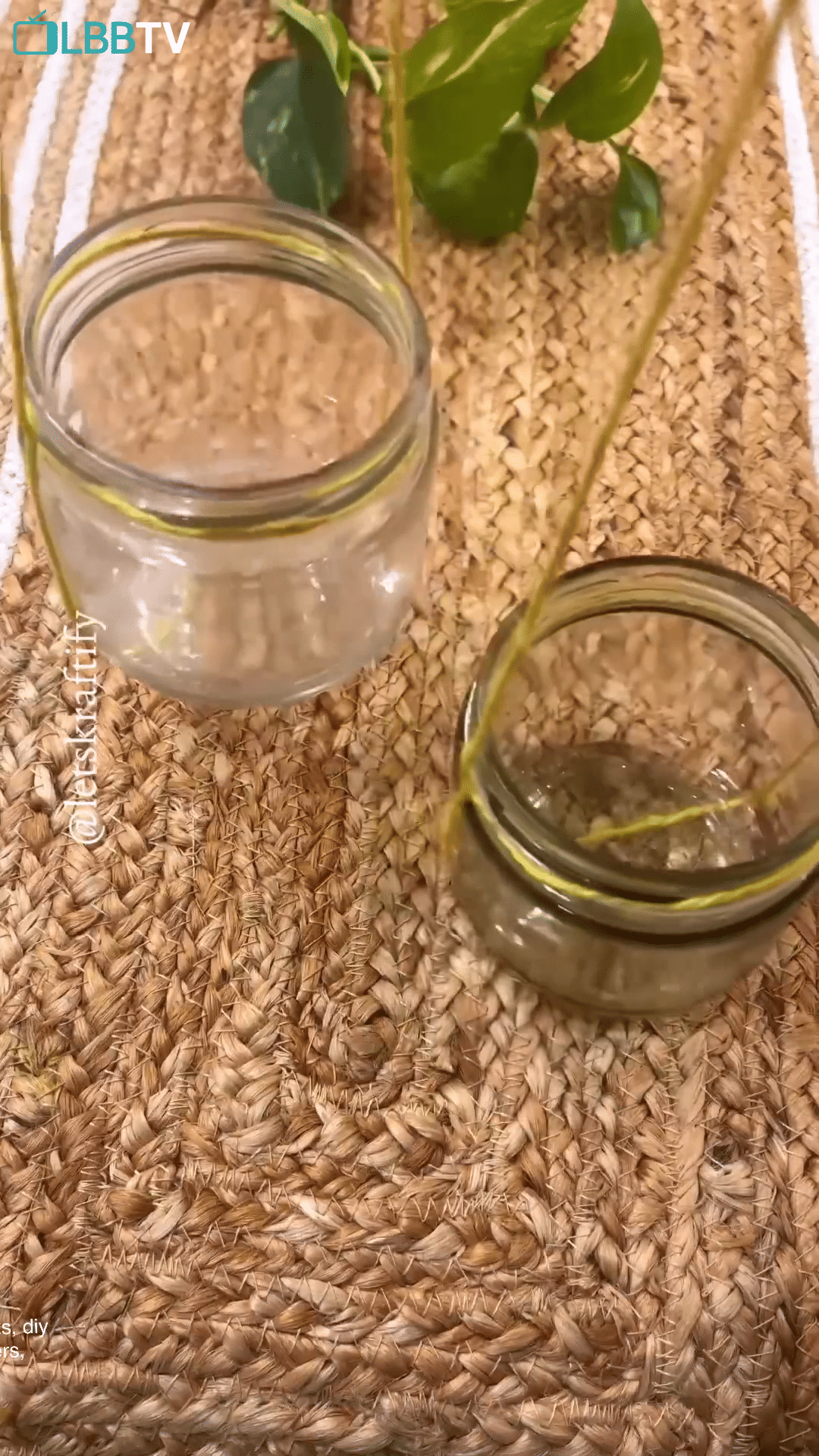 Food,Plant,Ingredient,Fines herbes,Cuisine,Dish,Spice,Produce,Superfood,Staple food