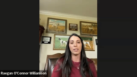 Discover the beauty and grace of horses through author Raegan O'Connor Williamso