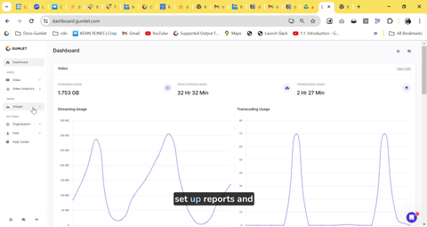 Gumlet Video | Brief Overview Of Usage Analytics & Creating Reports/Alerts