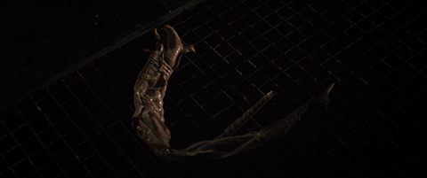 Alien.Romulus.(2024)