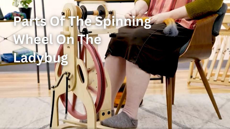 Schacht - Parts Of The Spinning Wheel On The Ladybug