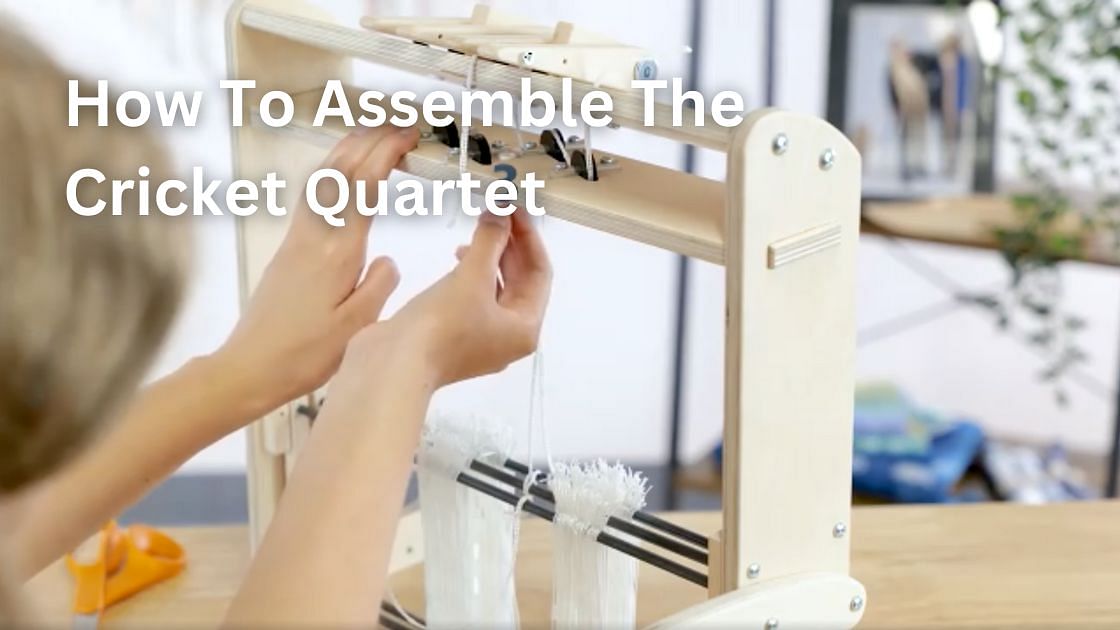 Schacht - How To Assemble The Cricket Quartet