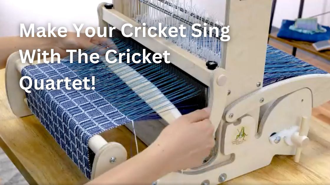 Schacht - Make Your Cricket Sing With The Cricket Quartet!