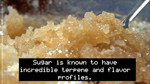 What is Live Resin Sugar? - DR