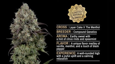 Strain Info: Limited Edition by CommCan
