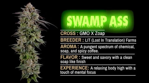 Strain Info: Swamp Ass by CommCan