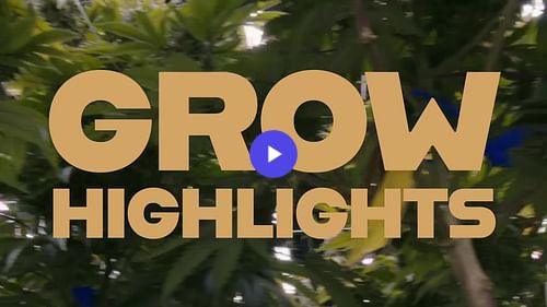 Grow Highlights