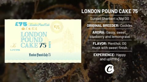 Strain Info: London Pound Cake 75 by Cookies