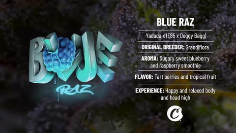 Strain Info: Blue Raz by Cookies