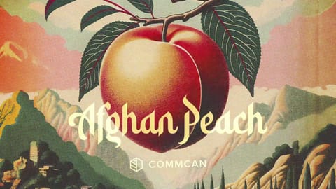 Strain - Afghan Peach - 360 Info (TV)