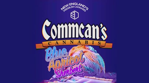 Strain Info - Blue Apricot Sherbet by CommCan