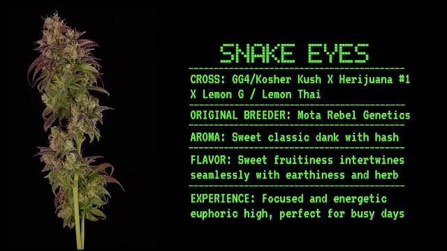 Strain - Snake Eyes 360 Info
