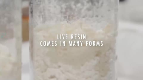 Live Resin Vapes vs Dabs - What's the Difference?