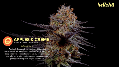 Apples & Creme Strain Highlights - CommCan MA