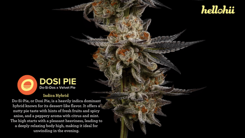 Dosi Pie Strain Highlights - CommCan MA