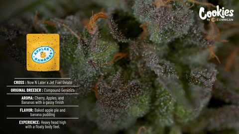 Apples & Bananas Cookies by CommCan Strain