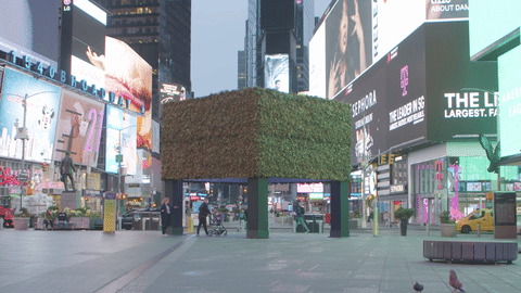 Raúl Cordero  THE POEM at Times Square, New York
