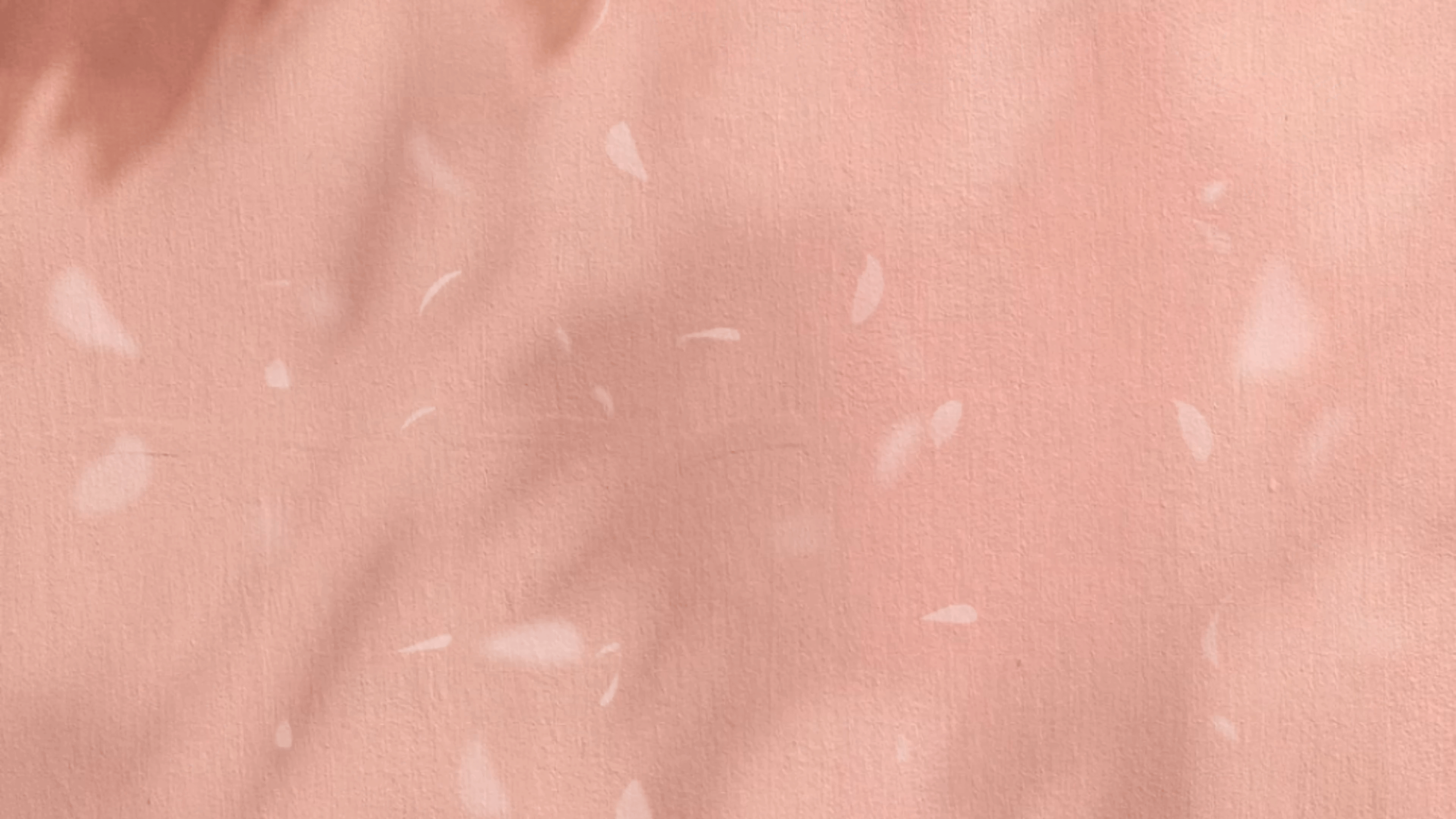 Hannah & Gabriel Slide Show