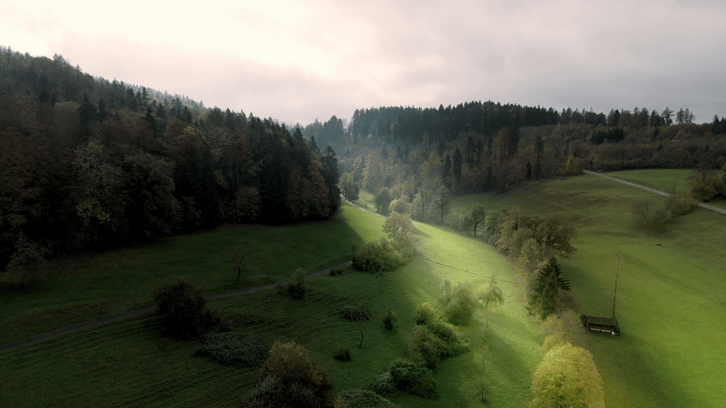 Immobilienfilm Jehle Umbauten