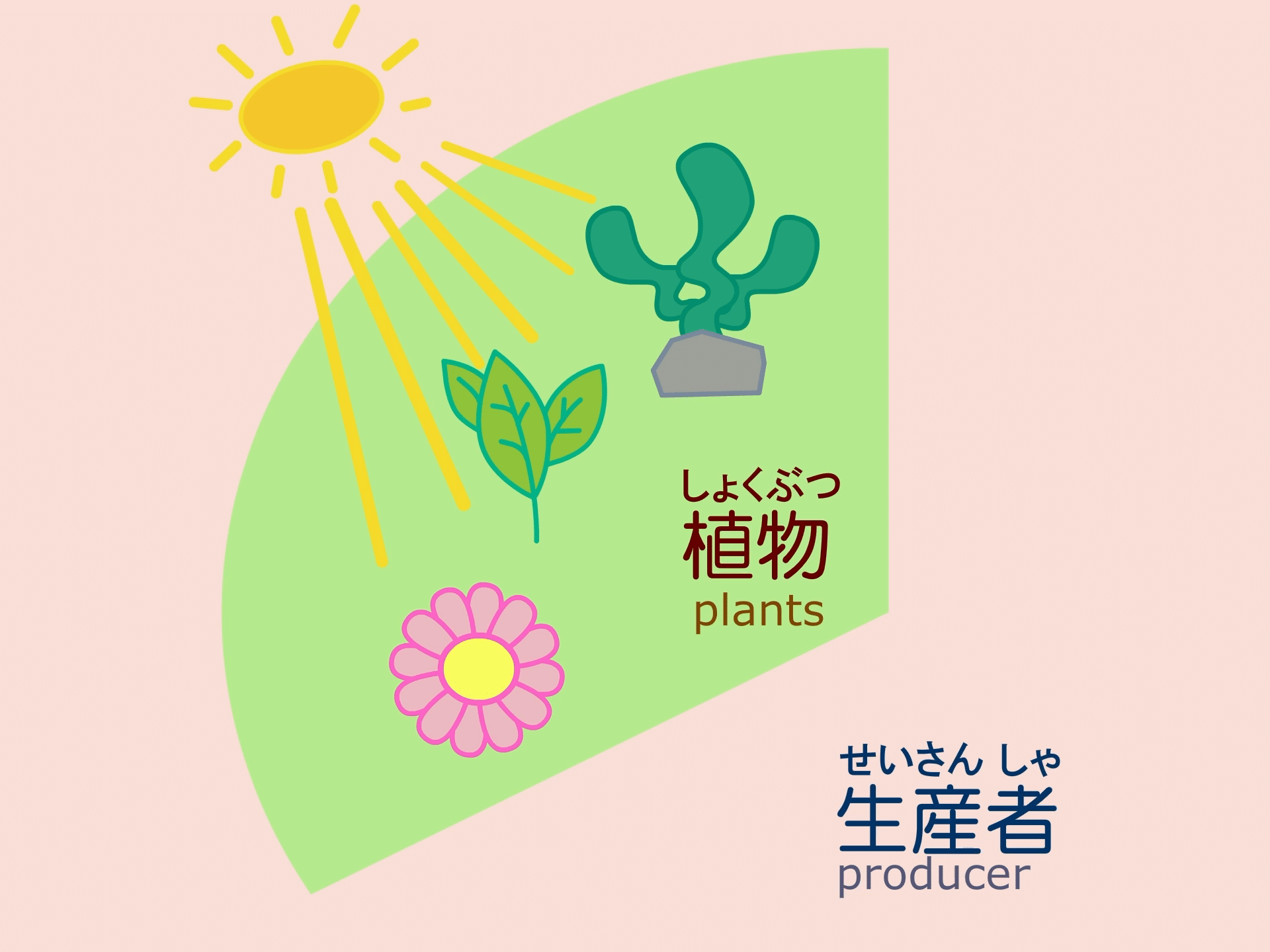 Media Poster