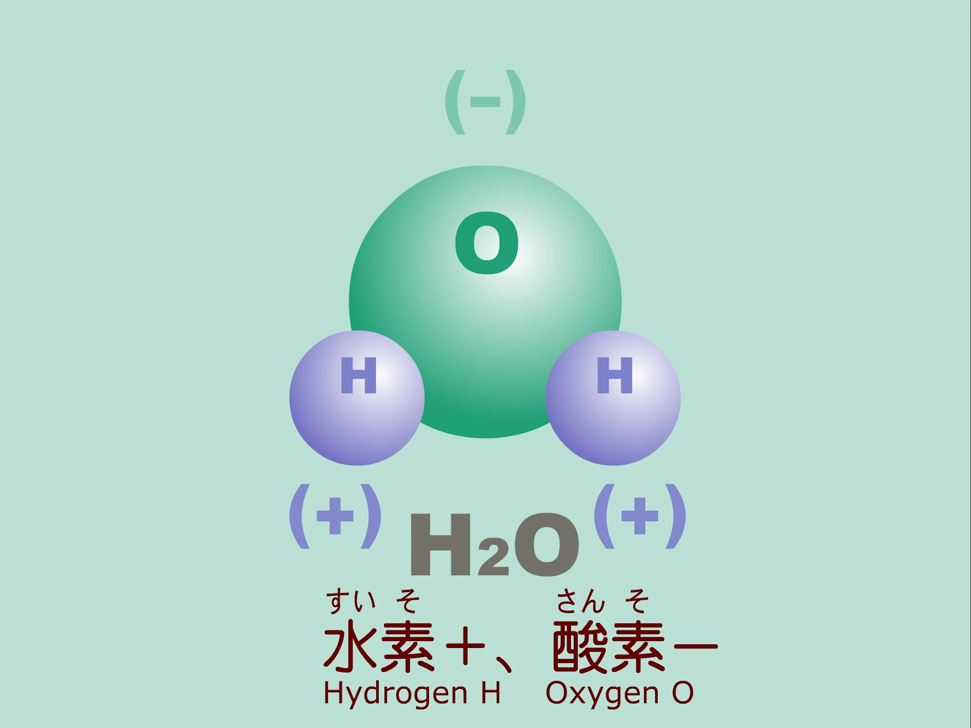 Media Poster