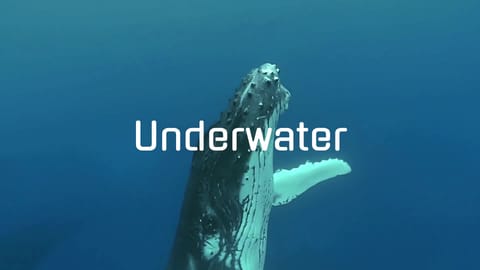 Underwater by Dylan Tauber