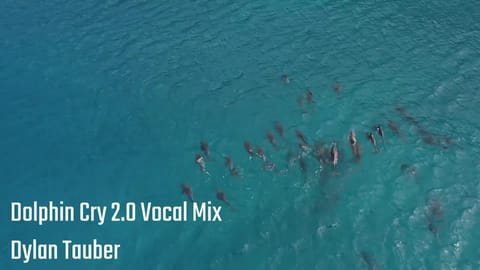 Dolphin Cry 2.0 Vocal Mix by Dylan Tauber
