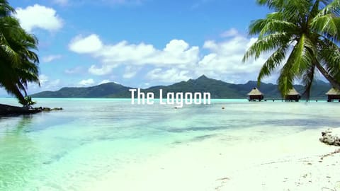 The Lagoon by Dylan Tauber