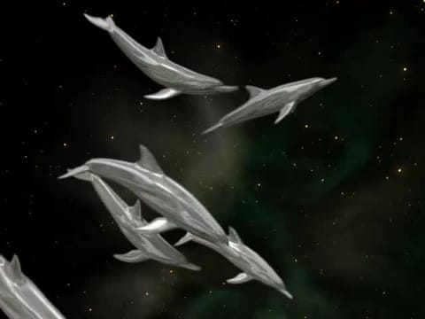 Believe Music Video by Dylan Tauber