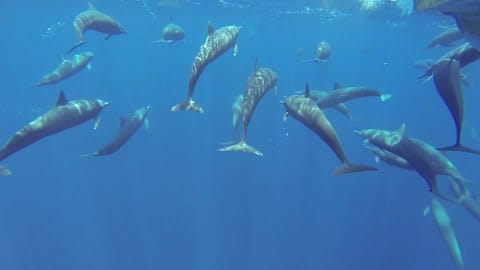 The Sea by Dylan Tauber