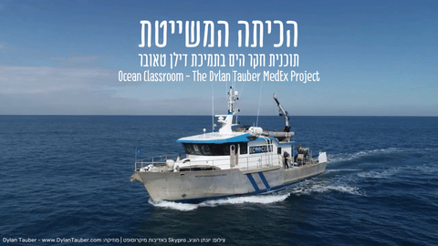 Dylan Tauber MedEx Project