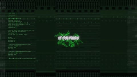 12Dolphins.org Promo by Dylan Tauber