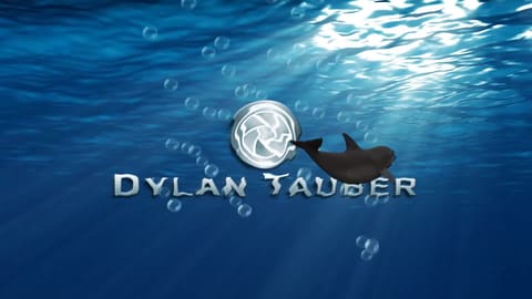 Dolphin Intro by Dylan Tauber