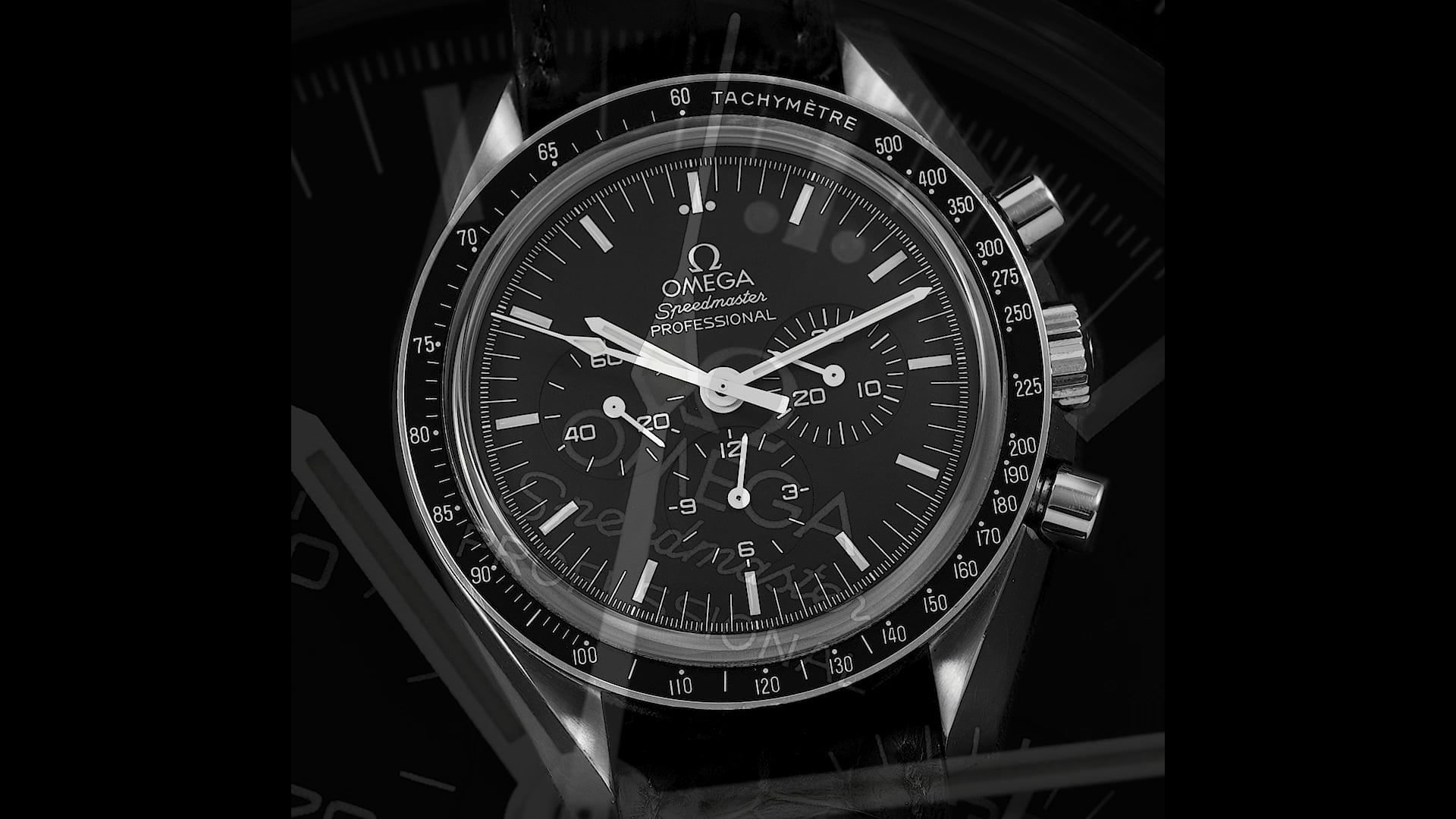 ヨウコウ SUOZ334 - THE CITY AND DESIGN, THE WONDERS OF LIFE - Swatch