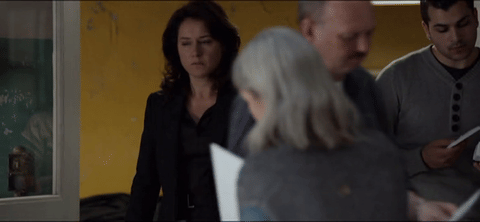 Borgen S3E3 - The Right Shade of Brown ('Den rigtige nuance af brun')