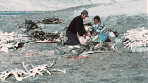 The Greenlandic Families in Denmark