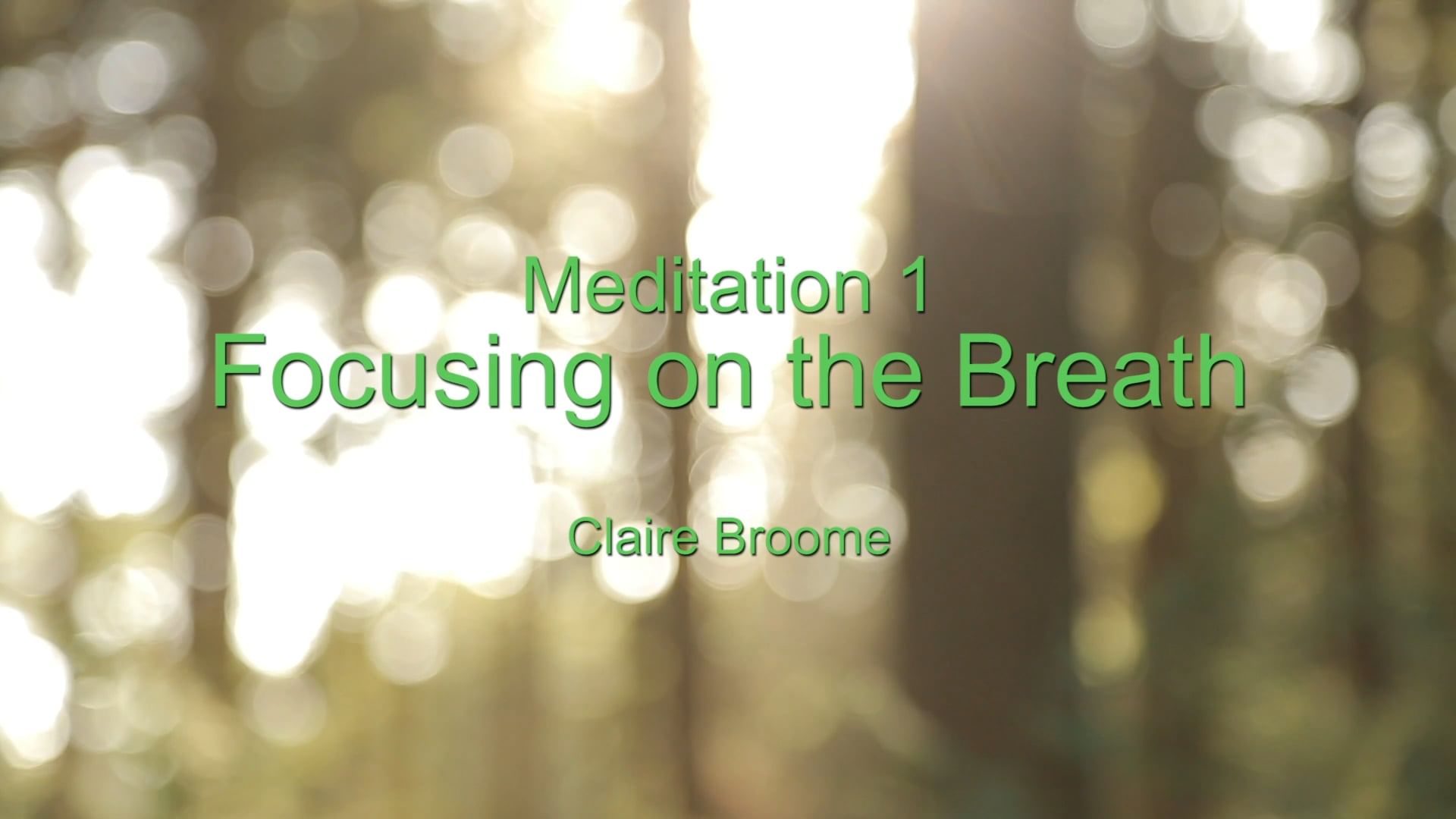 Meditation: Focusing on the Breath