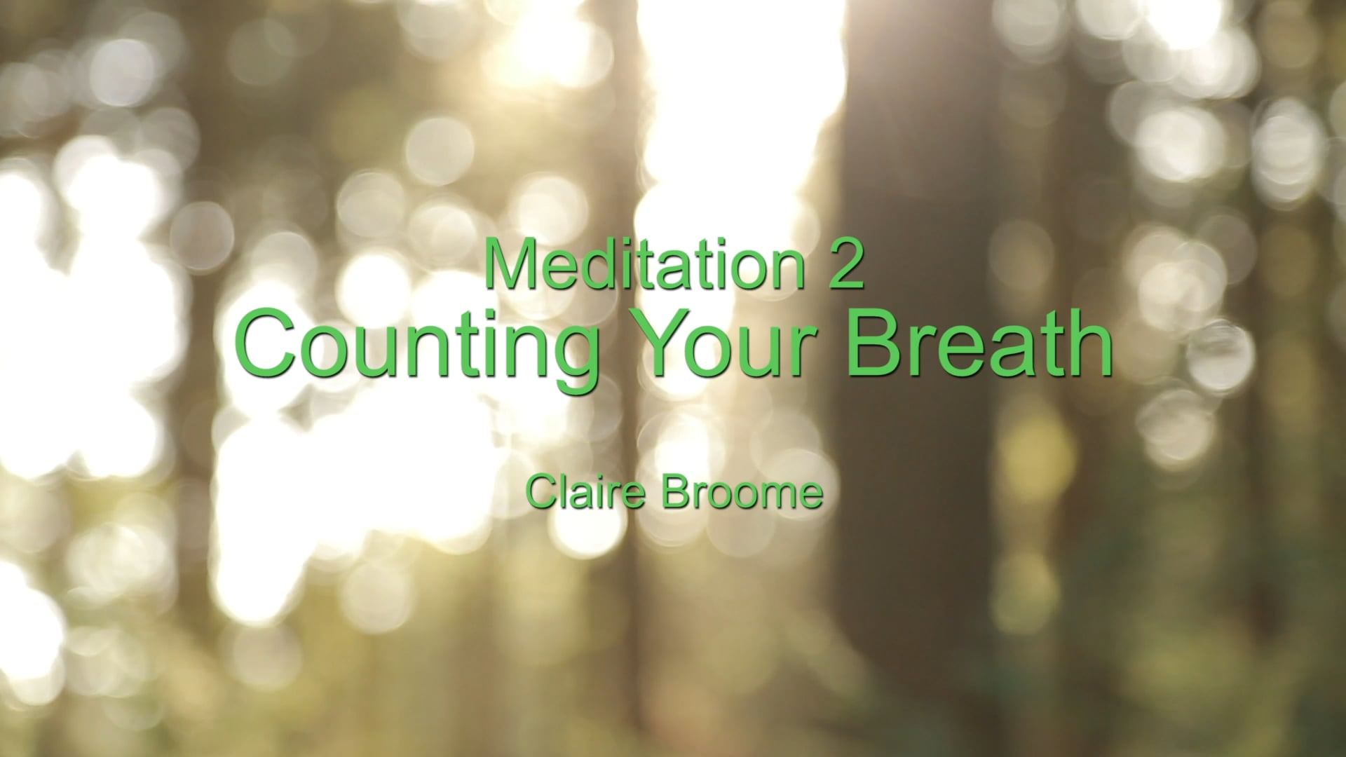 Meditation: Counting Your Breath
