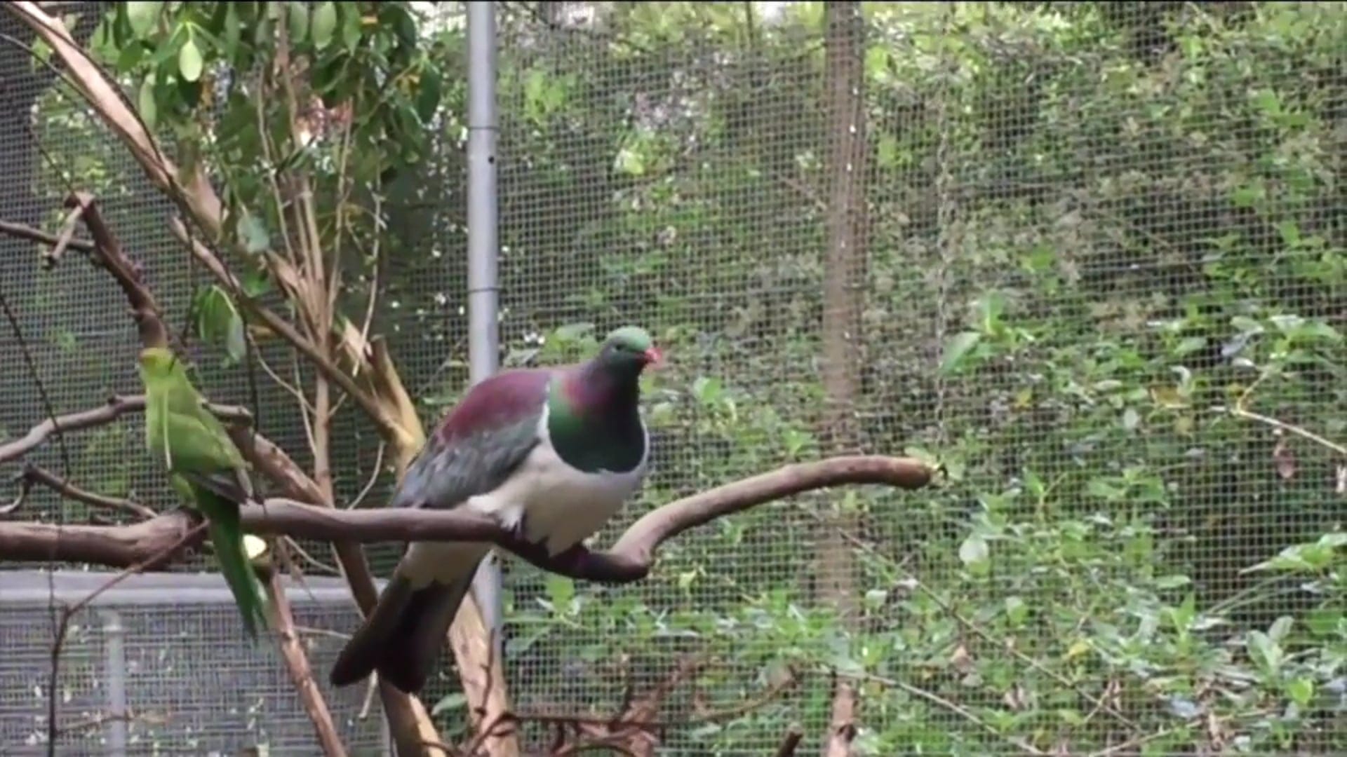 Media Poster