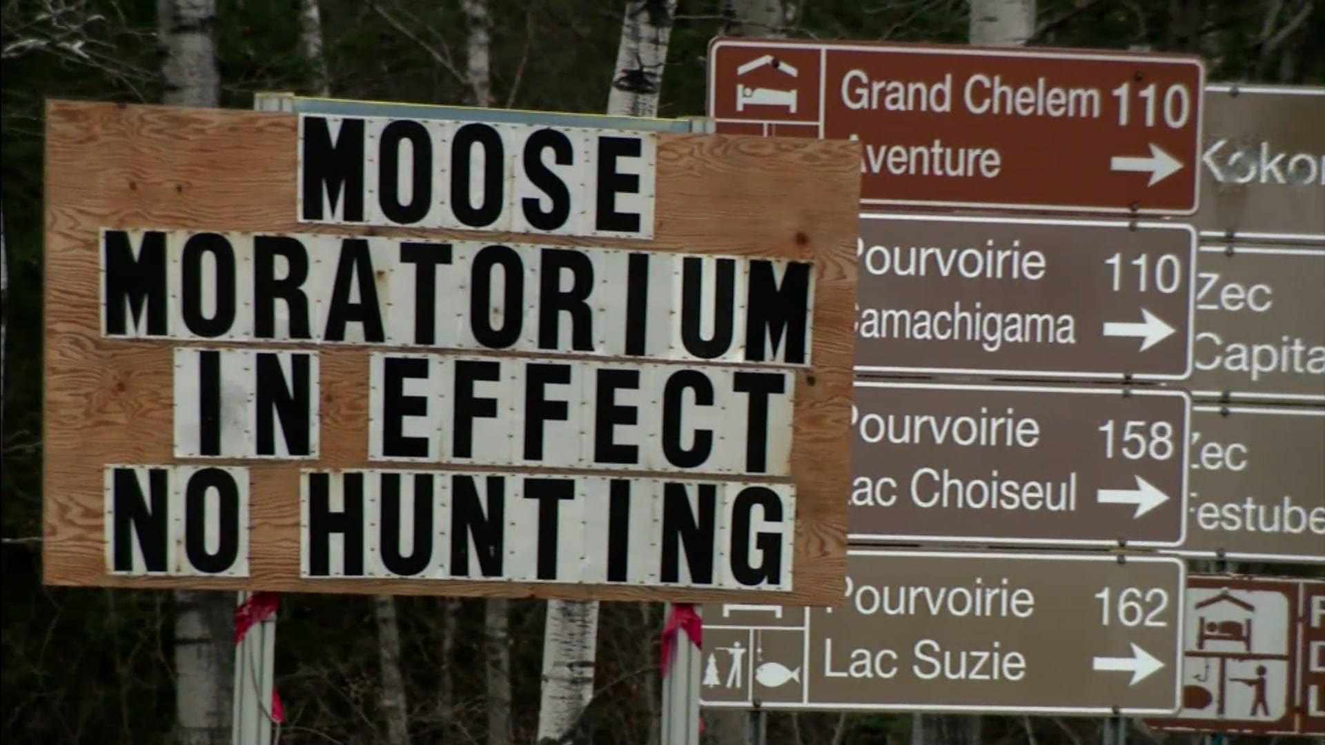 Media Poster
