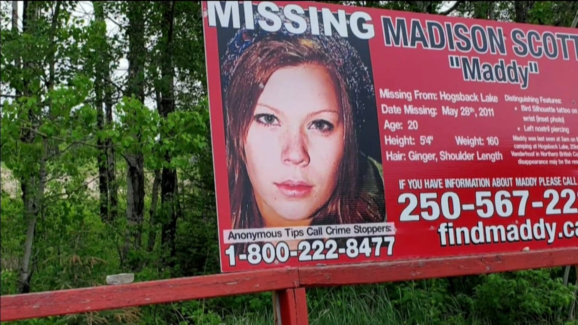 Media Poster