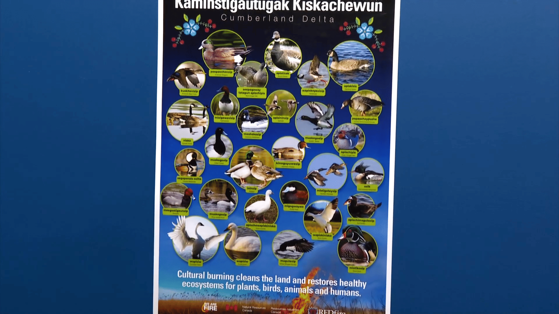 Media Poster