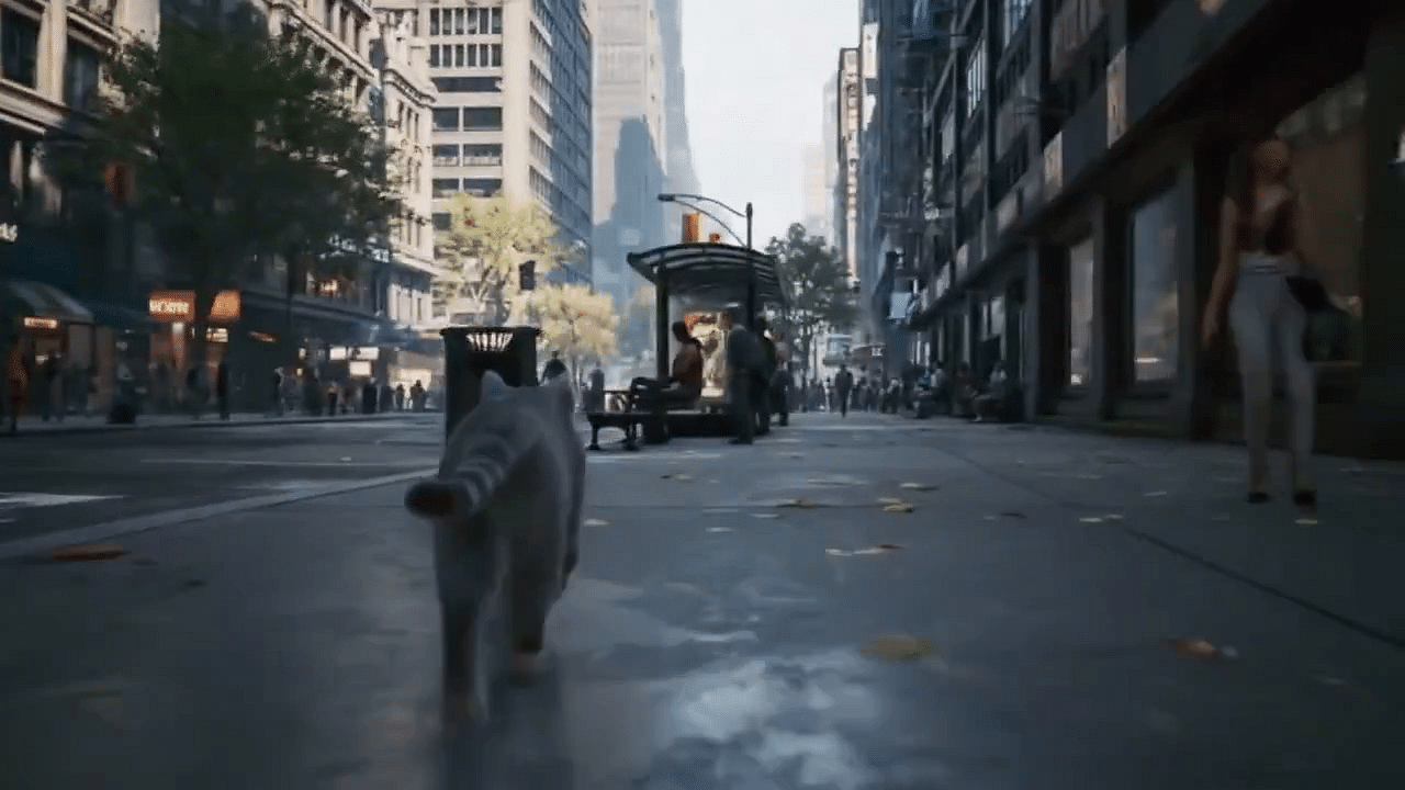 Feline Streets