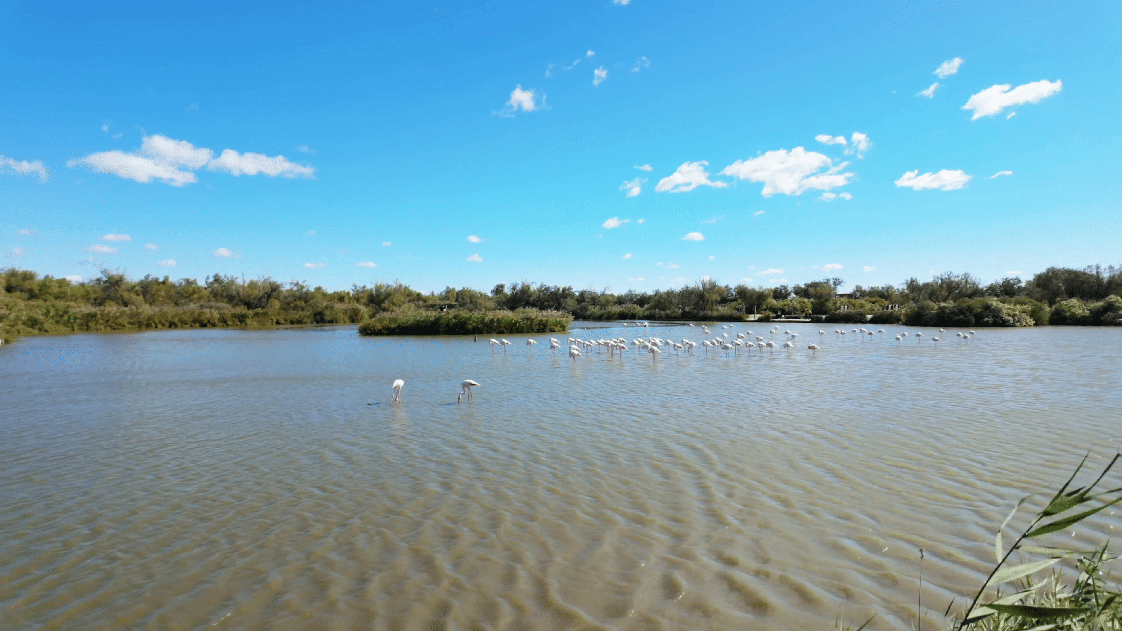 24-10 Camargue and Beaune