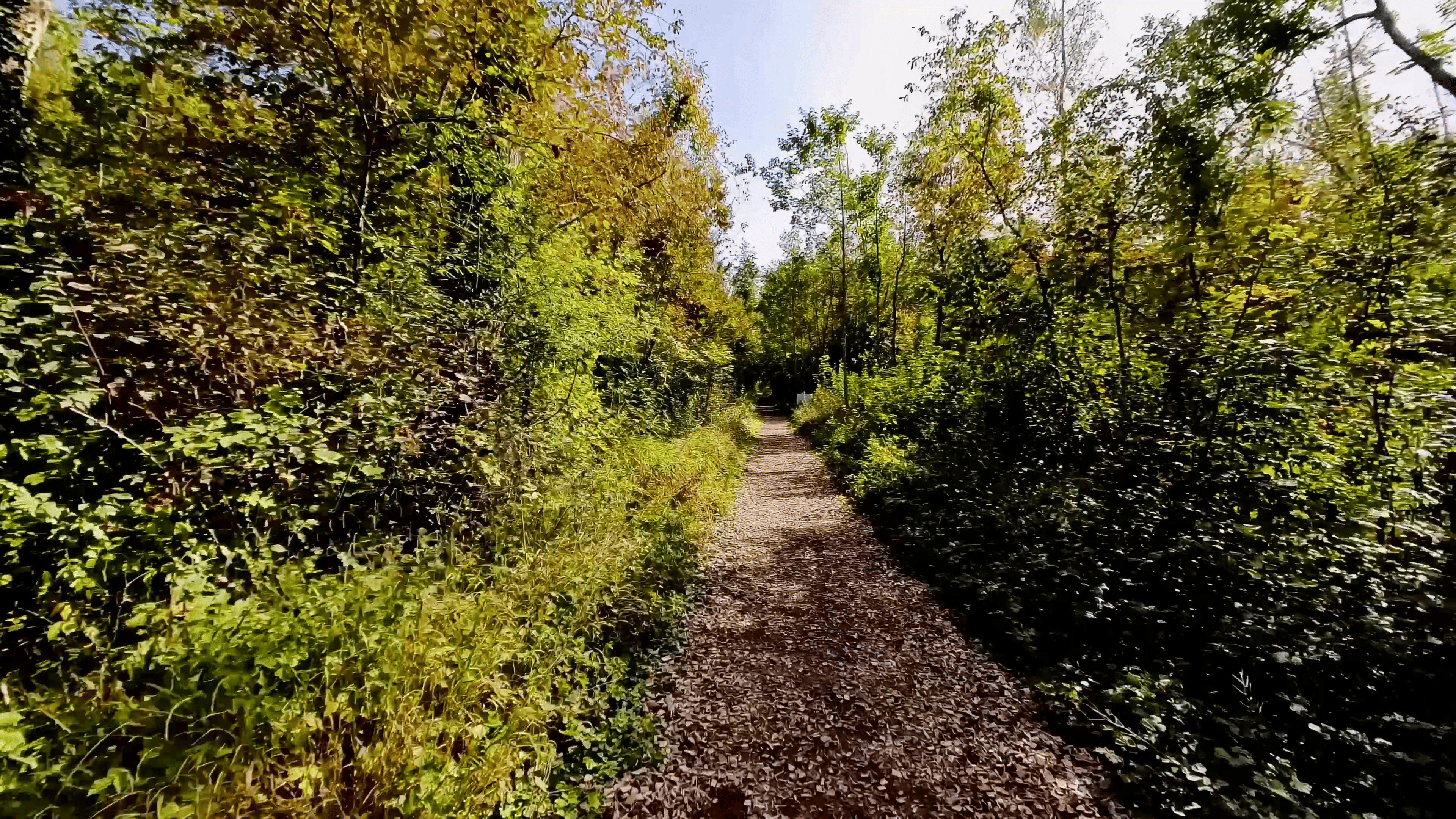 23-10 Chablais Murtensee